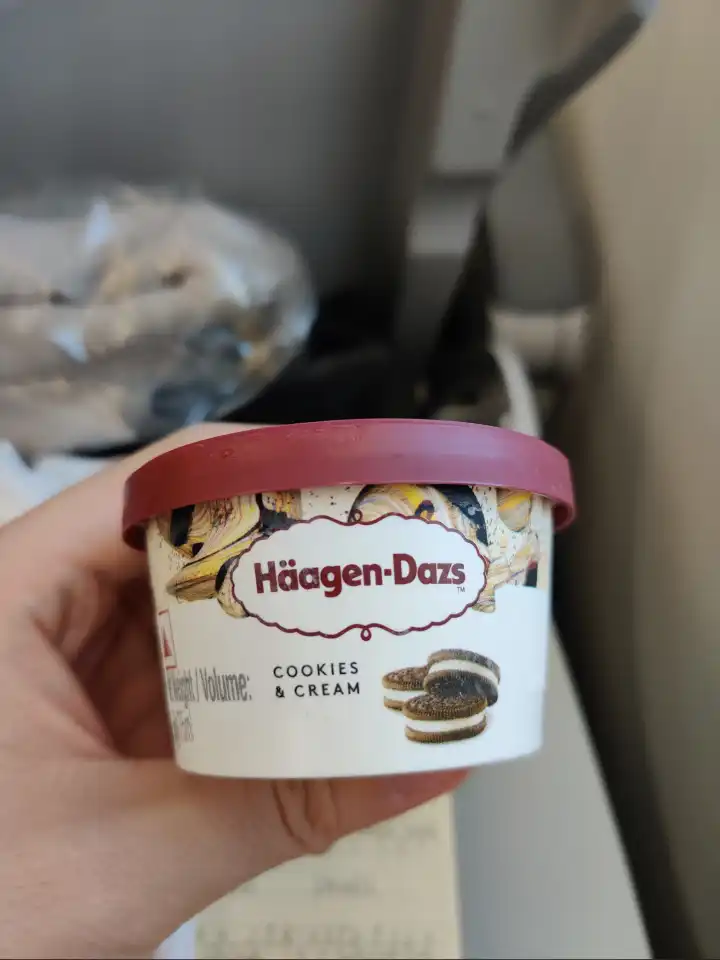 餐后甜点居然是哈根达斯的曲奇香奶冰淇淋