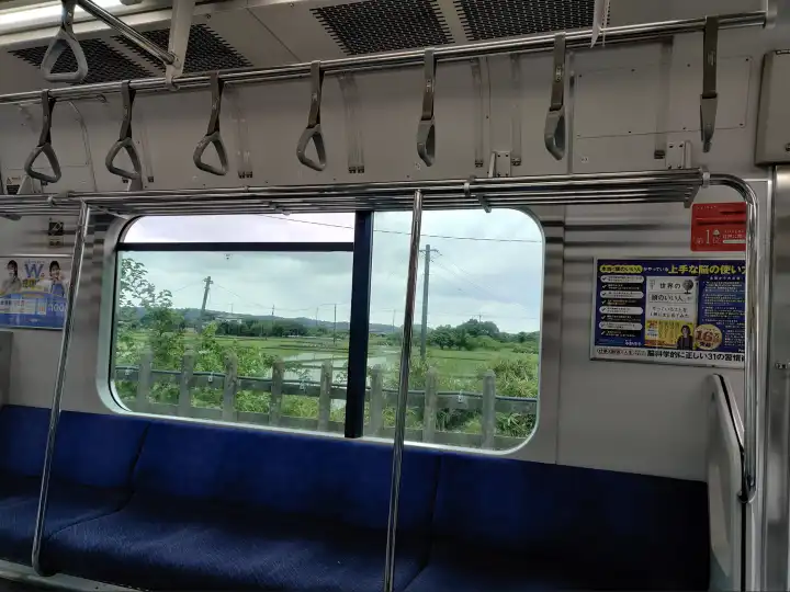 车窗外的景色很清新