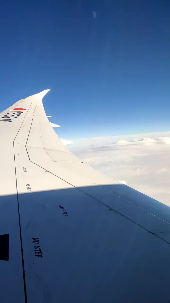 翱翔在深蓝天际之间