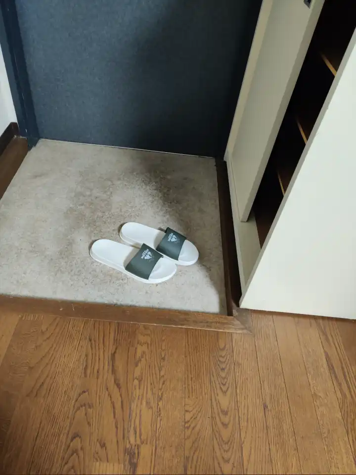 拖鞋，寻寻觅觅，冷冷清清，找你找得好苦，得亏你还挺好看